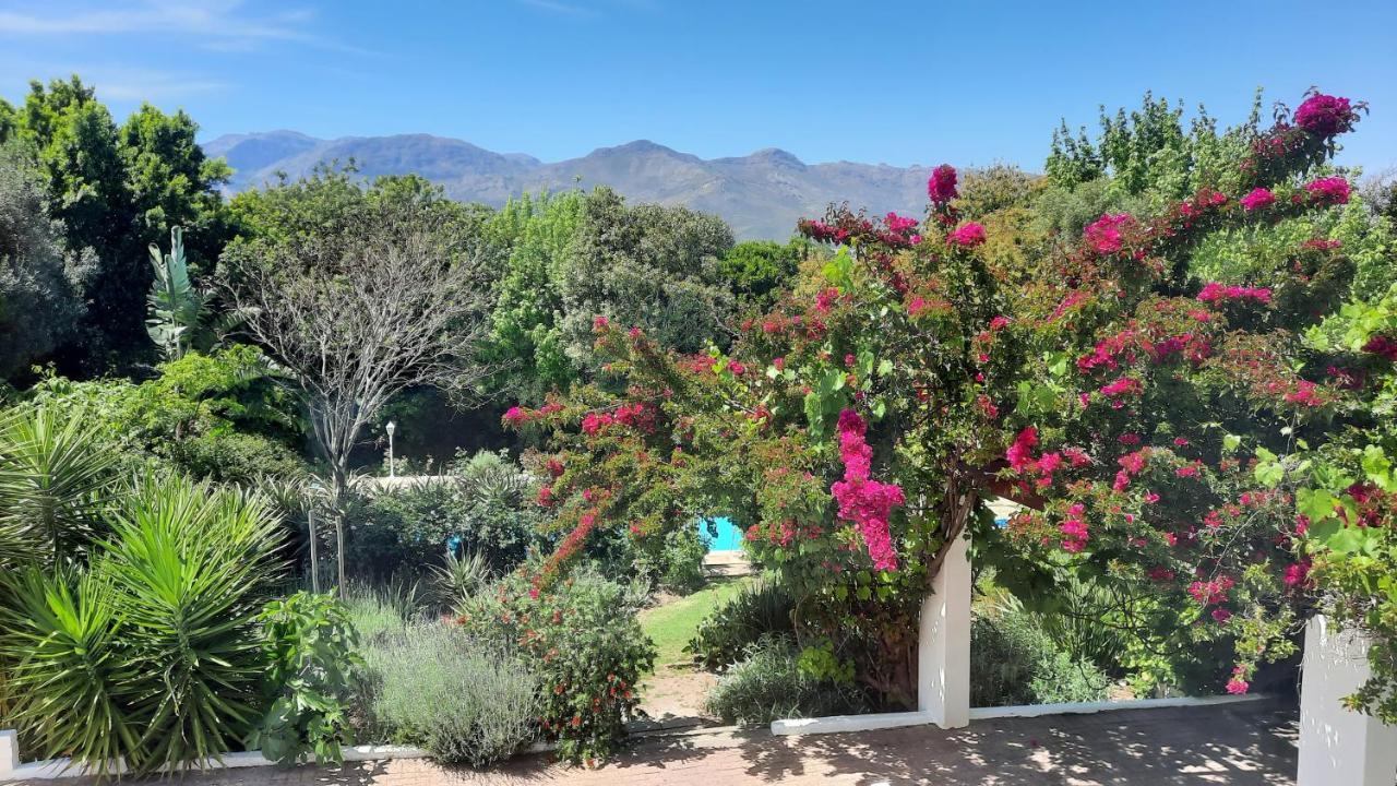 Alba House Guest House Paarl Exterior foto